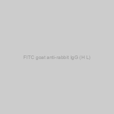 Image of FITC goat anti-rabbit IgG (H+L)
